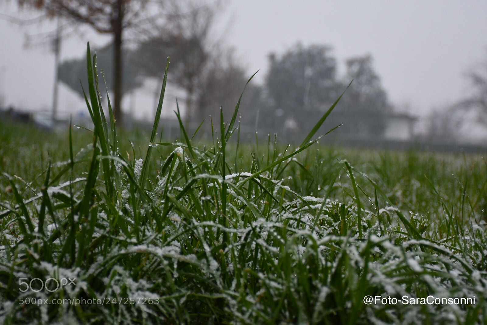 Nikon D7200 sample photo. Una mattina photography