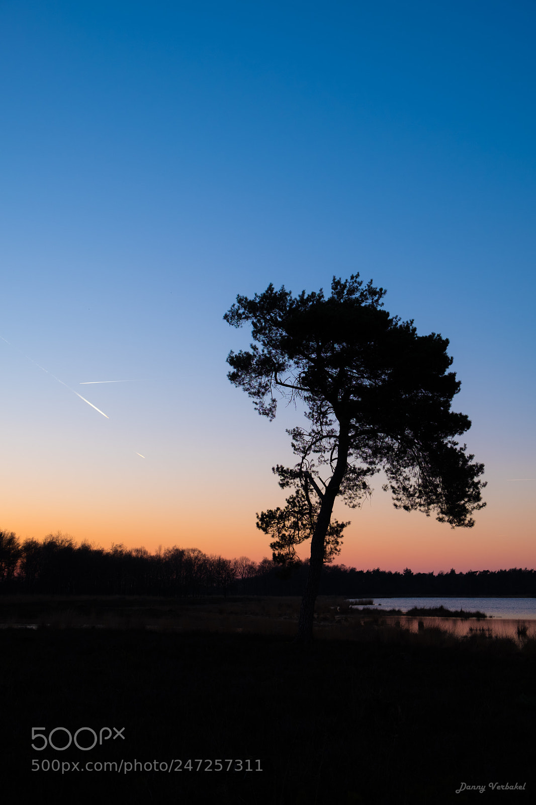 Fujifilm X-T20 sample photo. Buntven deurne photography