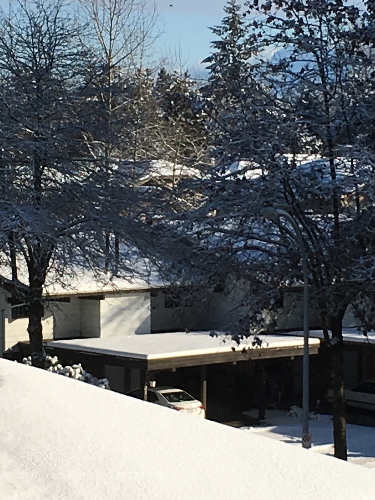 Apple iPhone 6s sample photo. Latest snowfall in surrey photography