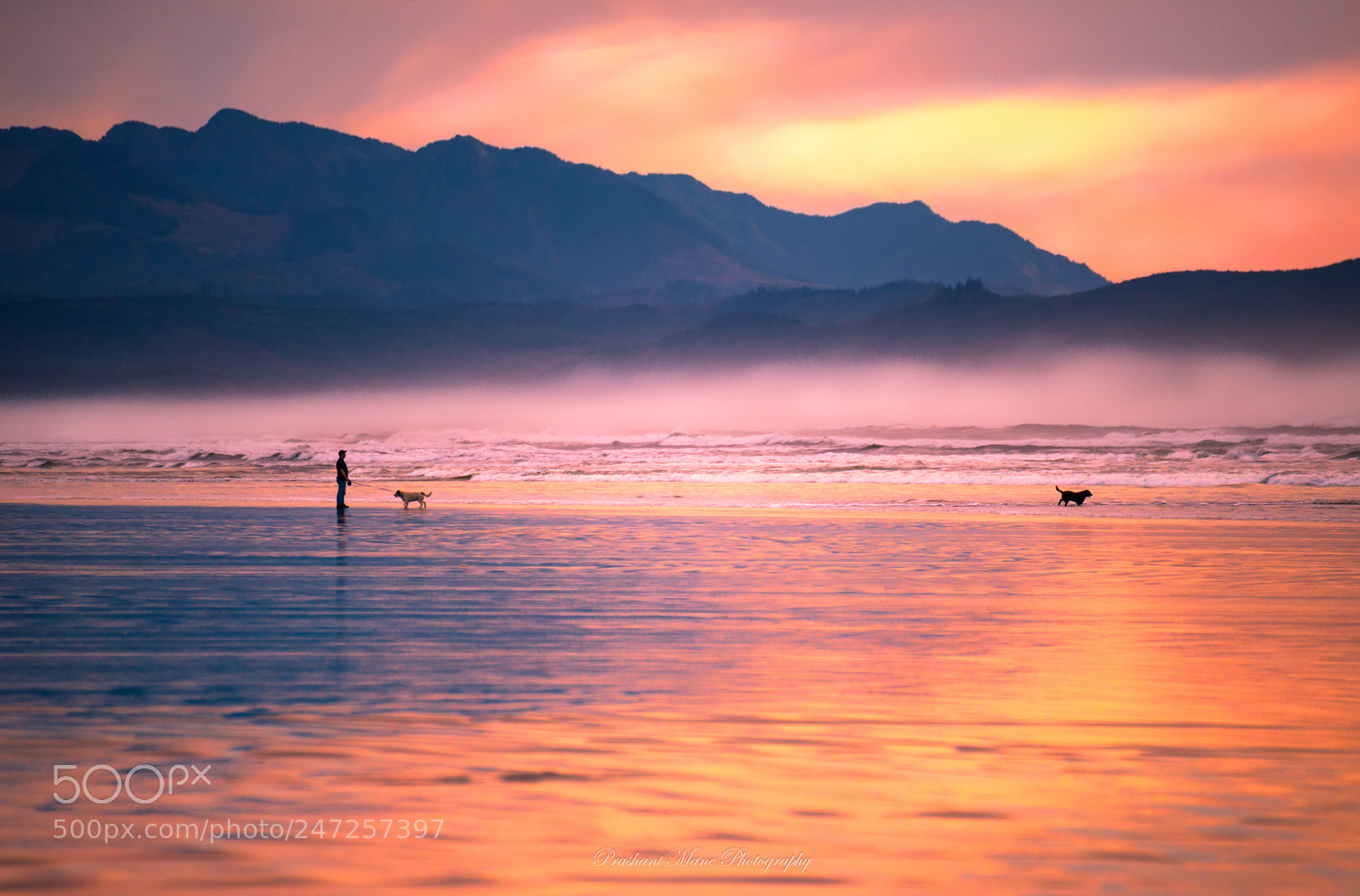 Nikon D610 sample photo. Sunset beach, oregon photography