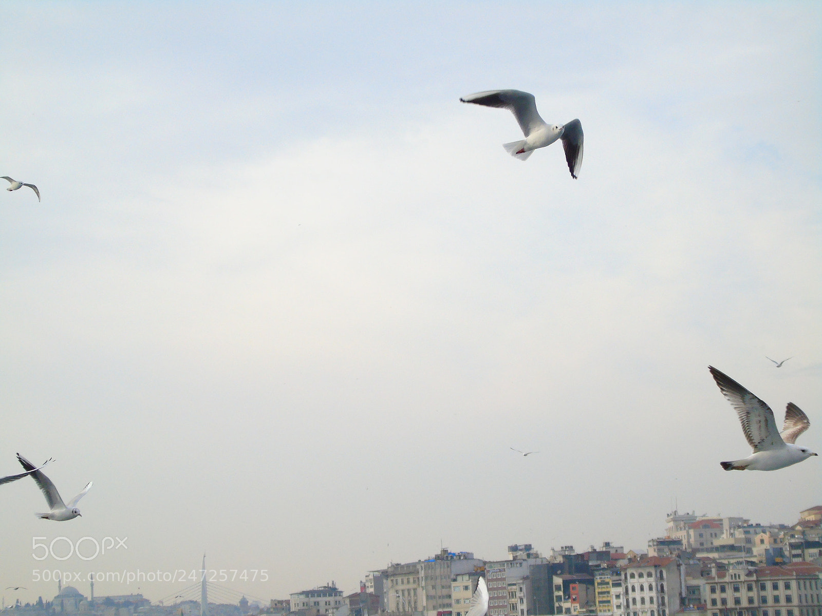 Sony Cyber-shot DSC-H400 sample photo. ++++ photography