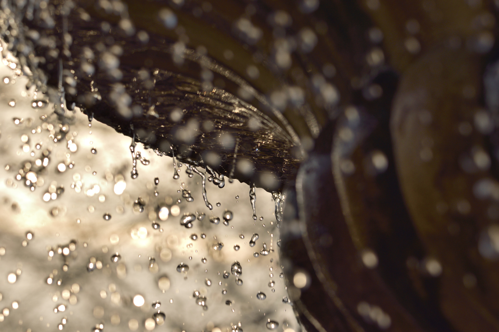 Nikon D3300 + Sigma 150-600mm F5-6.3 DG OS HSM | C sample photo. Regents park fountain photography