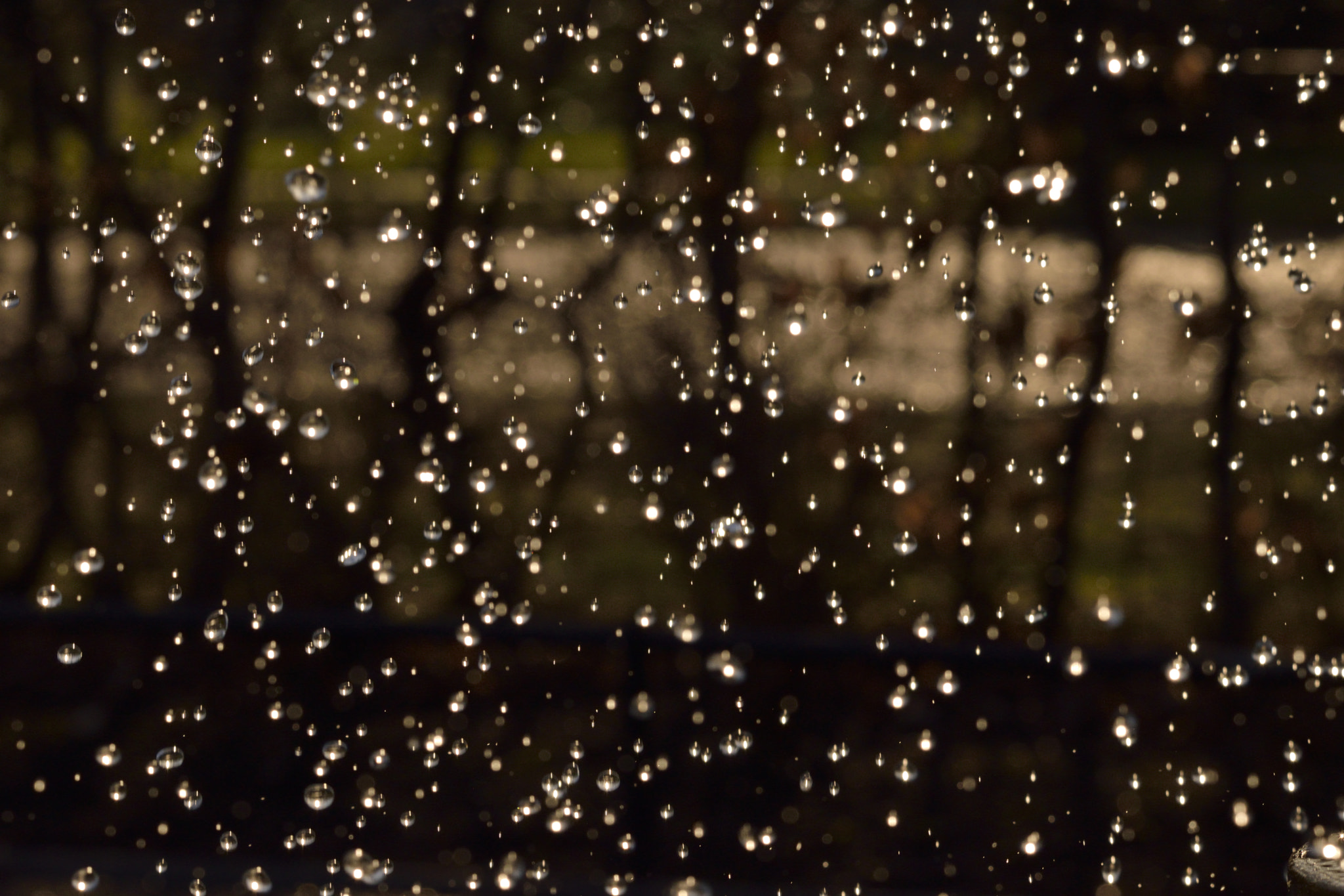 Sigma 150-600mm F5-6.3 DG OS HSM | C sample photo. Water droplets photography