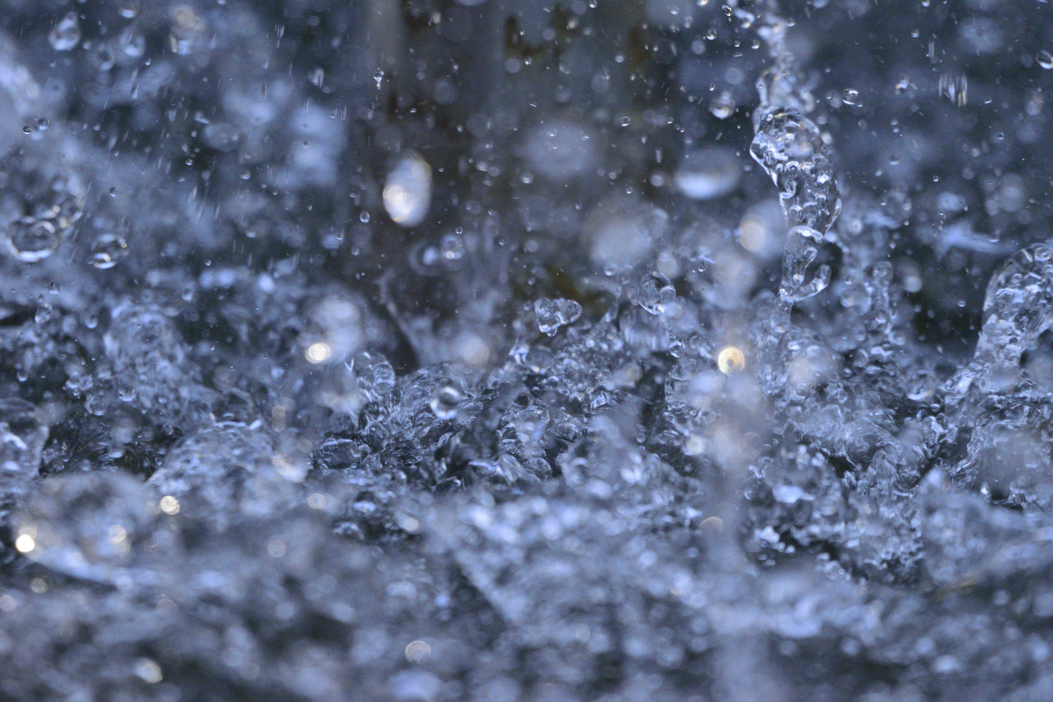 Sigma 150-600mm F5-6.3 DG OS HSM | C sample photo. Splash photography