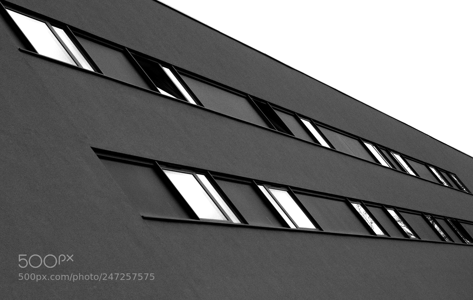 Sony a7R II sample photo. Dsc photography