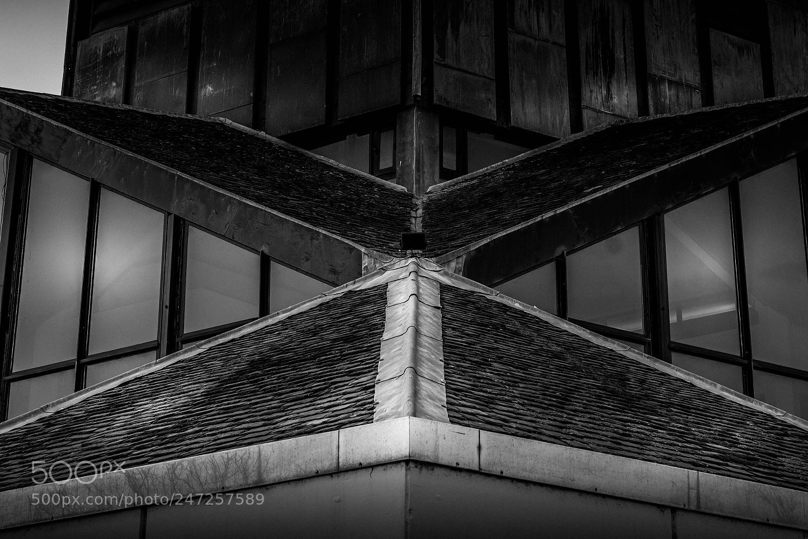 Sony a7R II sample photo. Dsc photography