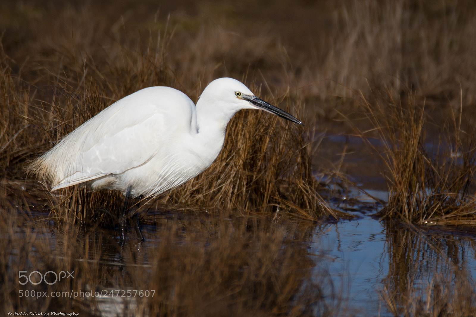 Canon EOS 7D Mark II sample photo. Fishing photography