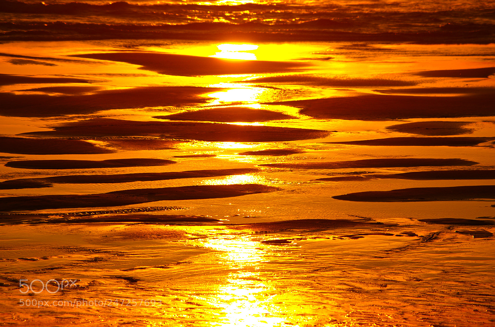 Pentax K-5 sample photo. Landes photography