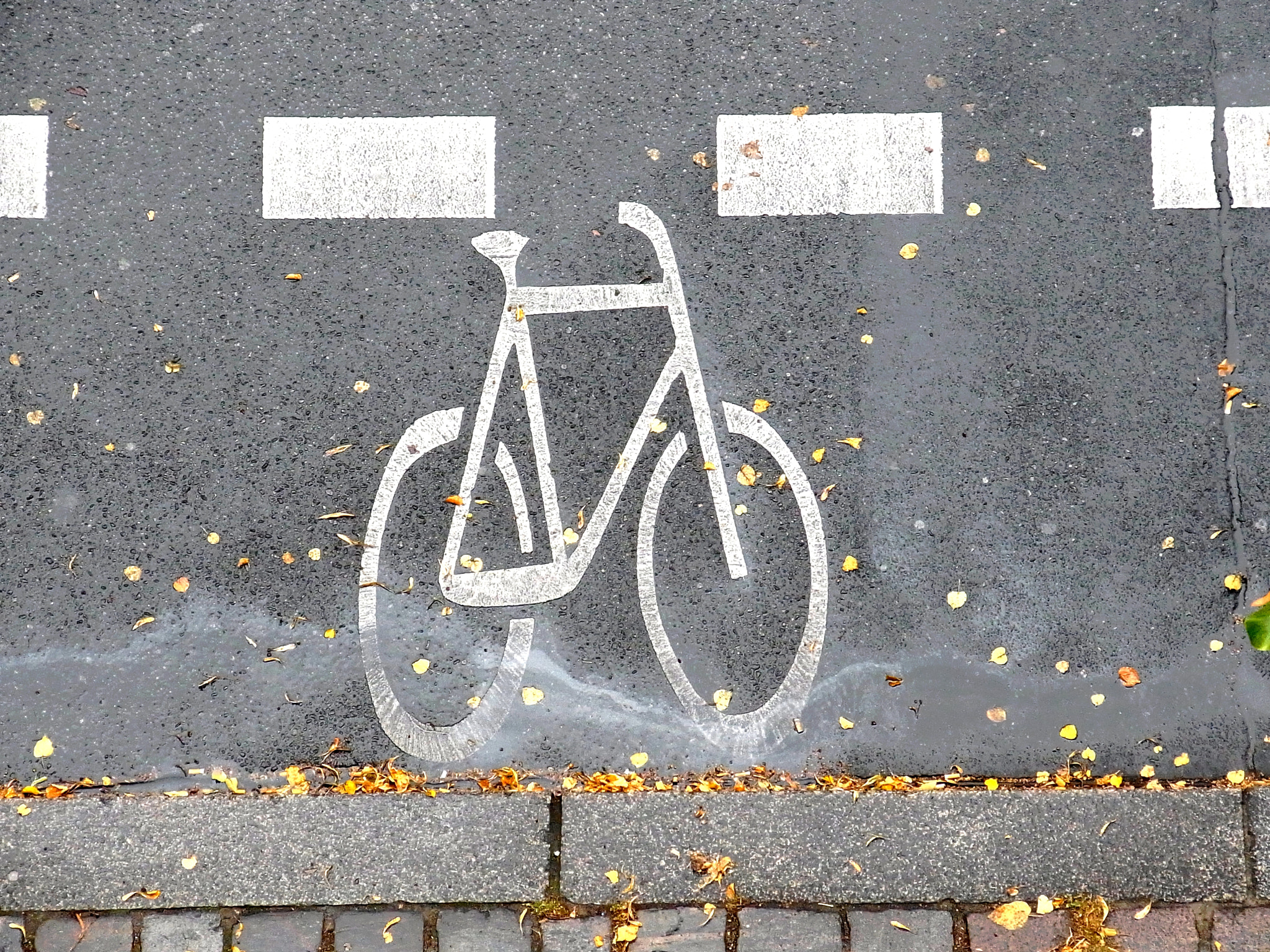 Ricoh CX5 sample photo. Berlin cycle path photography