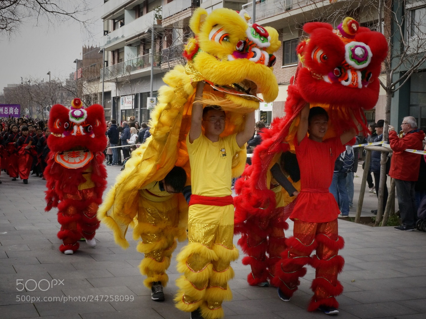 Sony Alpha NEX-6 sample photo. Pekineses photography