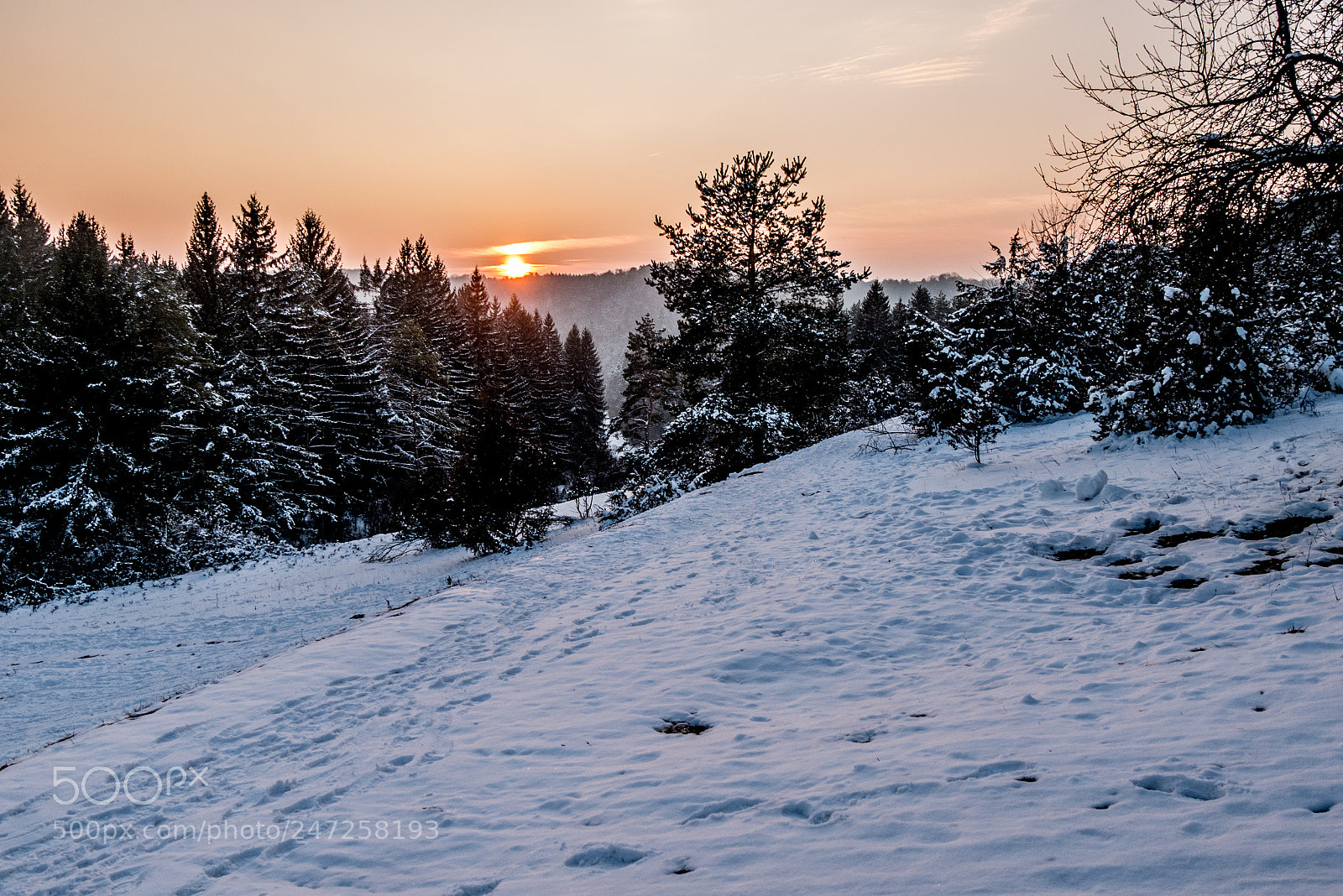 Panasonic DMC-G70 sample photo. Winter wonderland photography