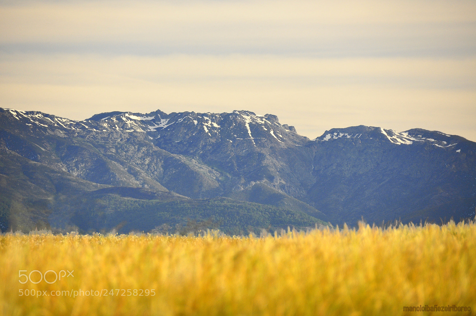 Nikon D90 sample photo. Abcd o photography