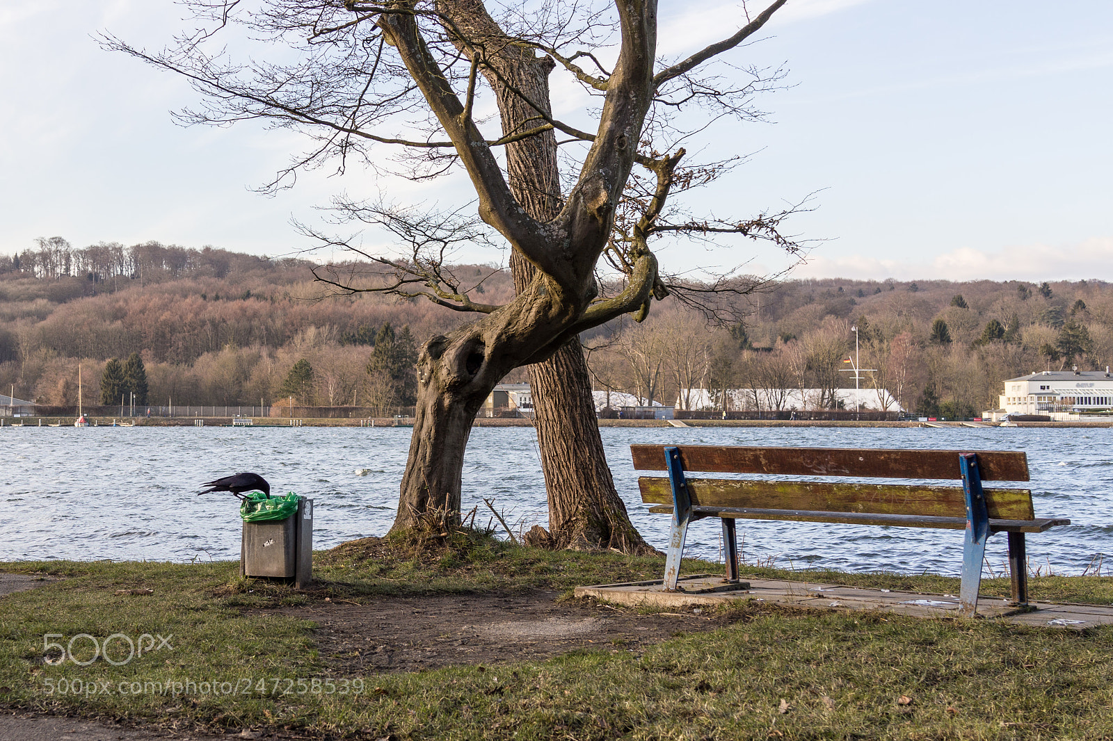 Sony Cyber-shot DSC-RX1 sample photo. Rabe & bank photography
