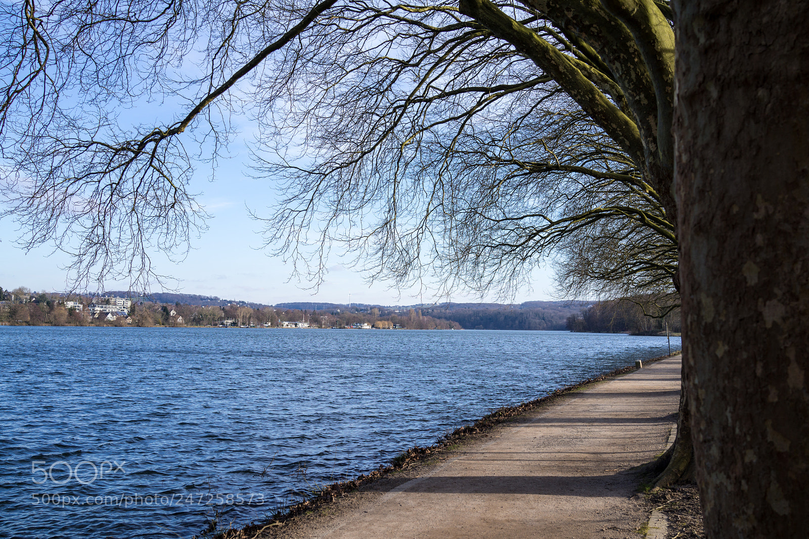 Sony Cyber-shot DSC-RX1 sample photo. Baldeneysee photography