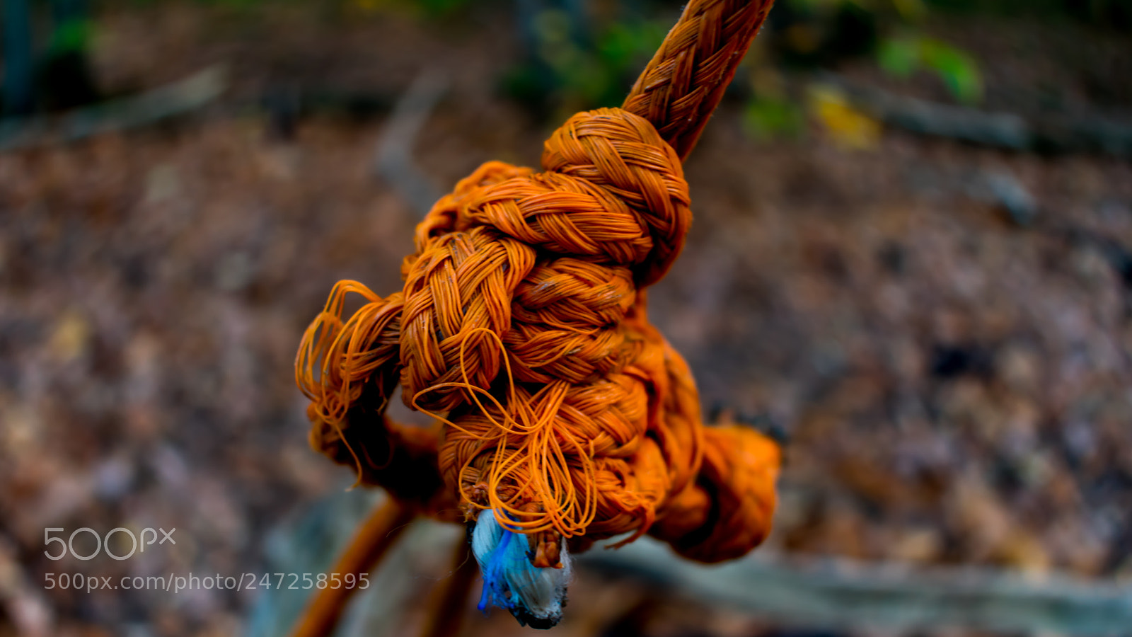 Nikon D3400 sample photo. Orange rope photography