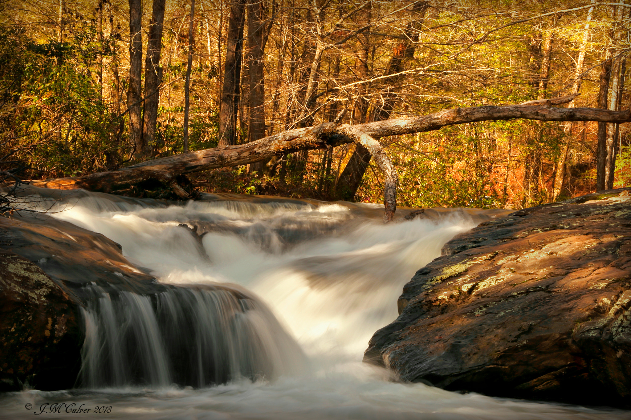 Canon EOS 77D (EOS 9000D / EOS 770D) sample photo. Dicks creek, chattahoochee forest, georgia photography