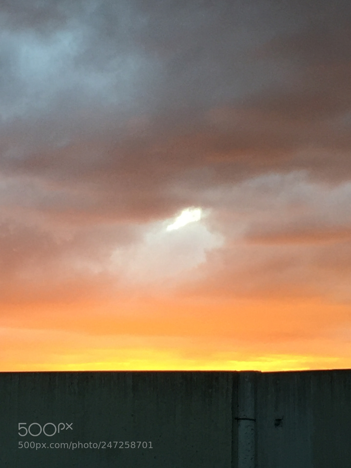 Apple iPhone 6 sample photo. Distant visitor from the photography