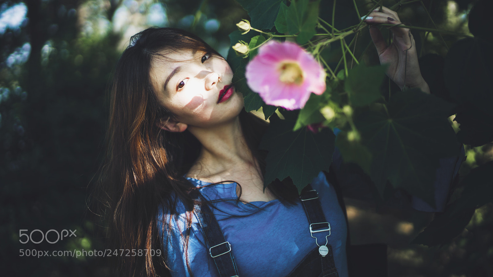 Sony a7R II sample photo. 花姑娘 photography