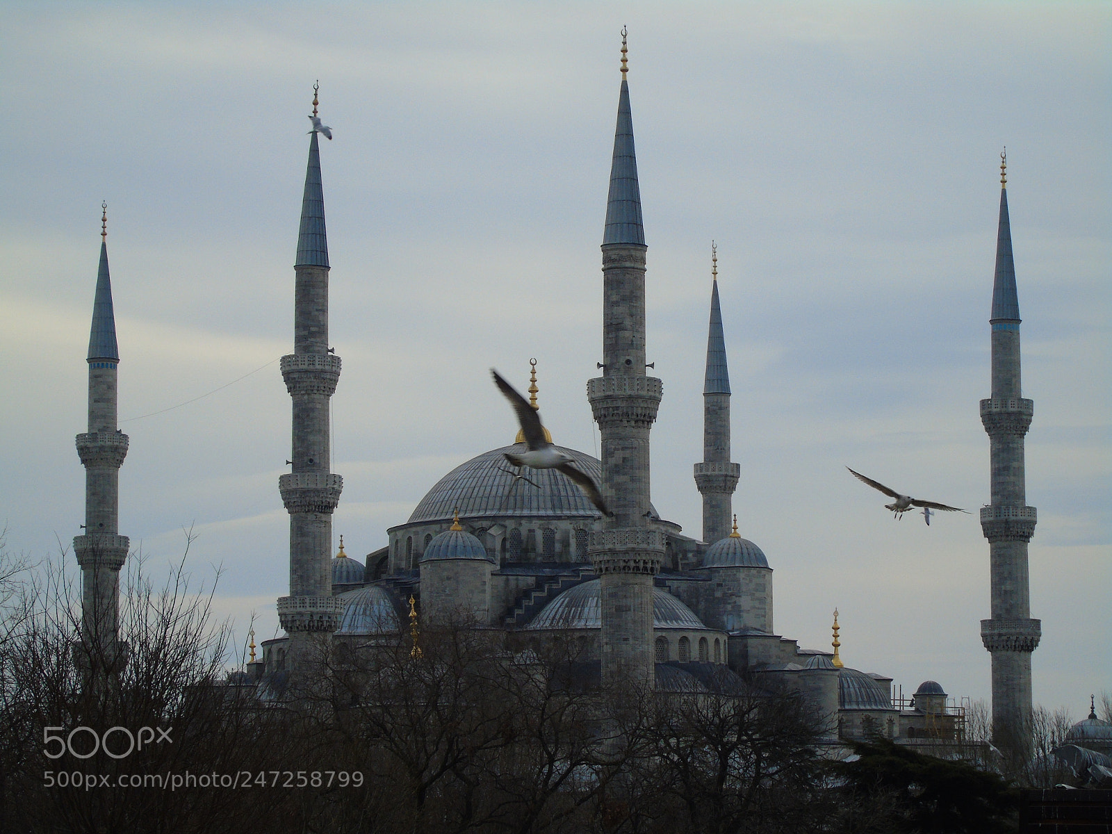 Sony Cyber-shot DSC-H400 sample photo. Sultan ahmet mosque photography