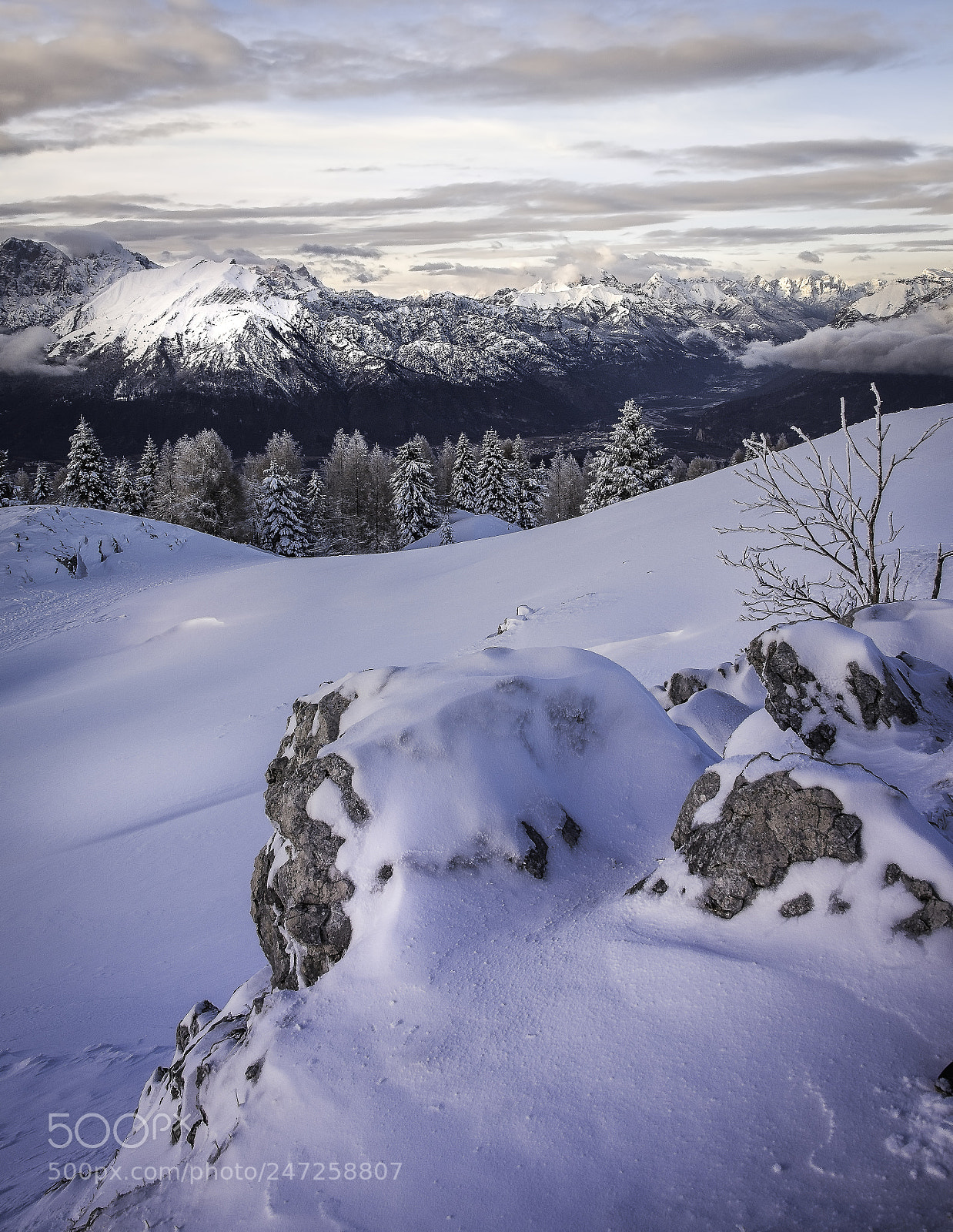 Nikon D500 sample photo. Cold winter photography