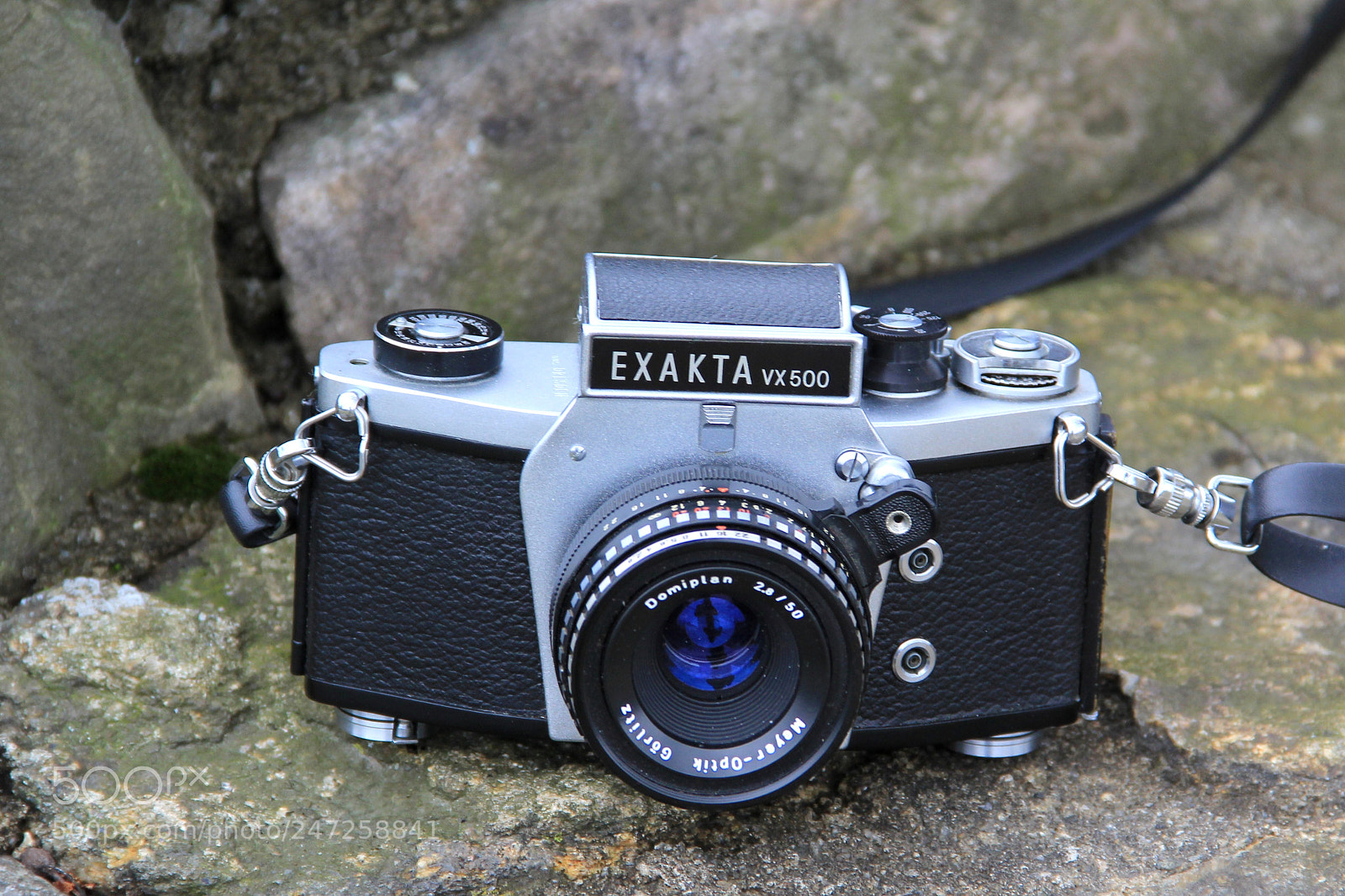 Canon EF-S 18-135mm F3.5-5.6 IS sample photo. Exakta vx500 film camera photography