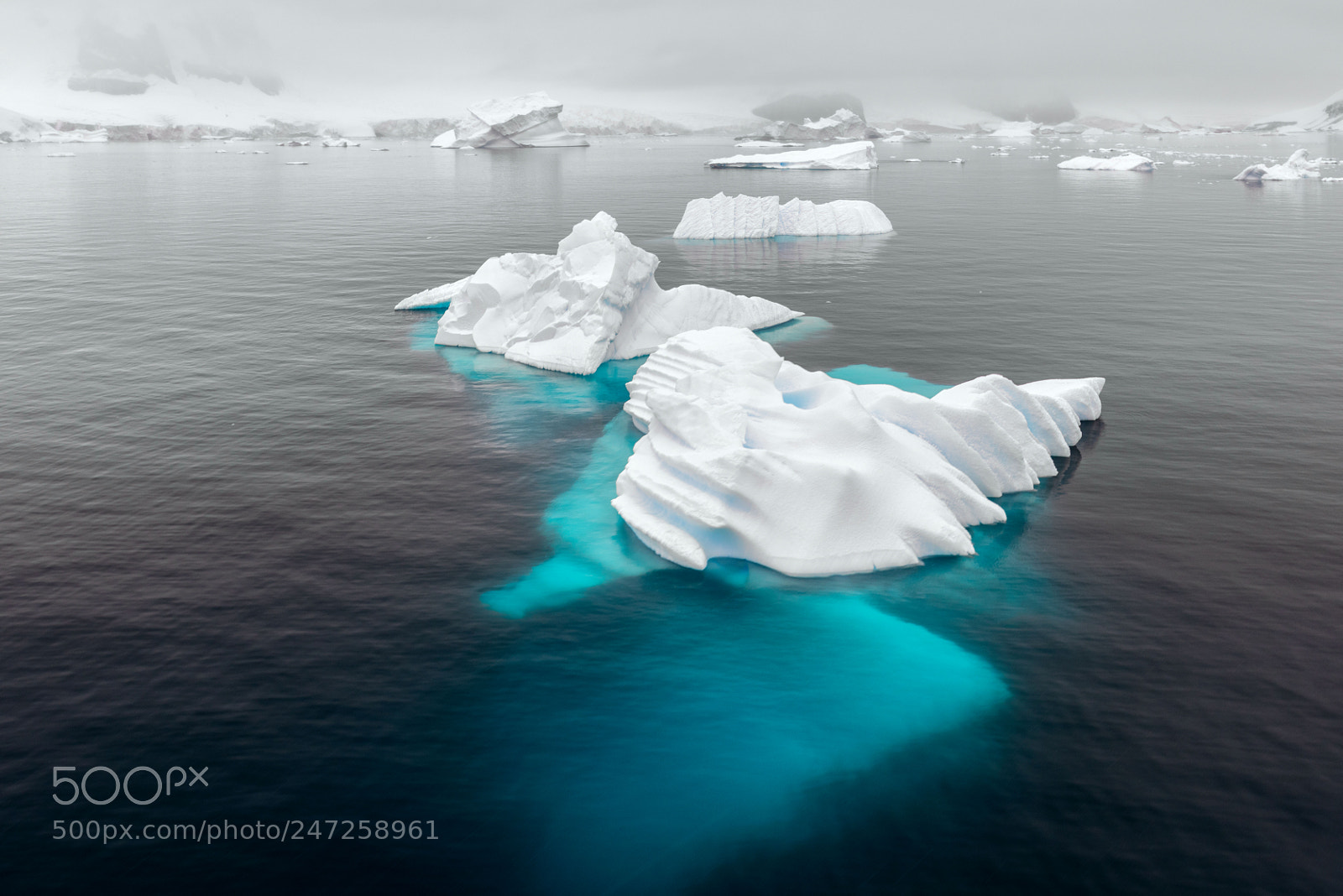 Nikon D810 sample photo. Antarctic icefloes photography