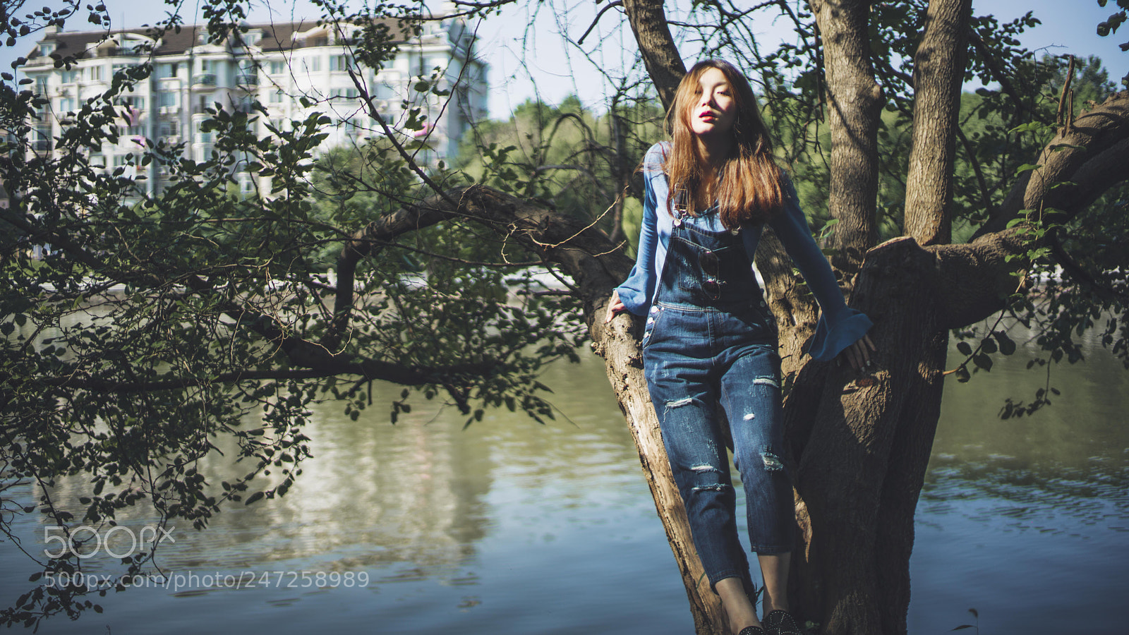 Sony a7R II sample photo. 花姑娘 photography