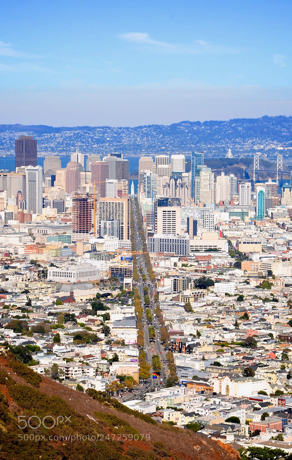 Nikon D600 sample photo. San francisco from above photography