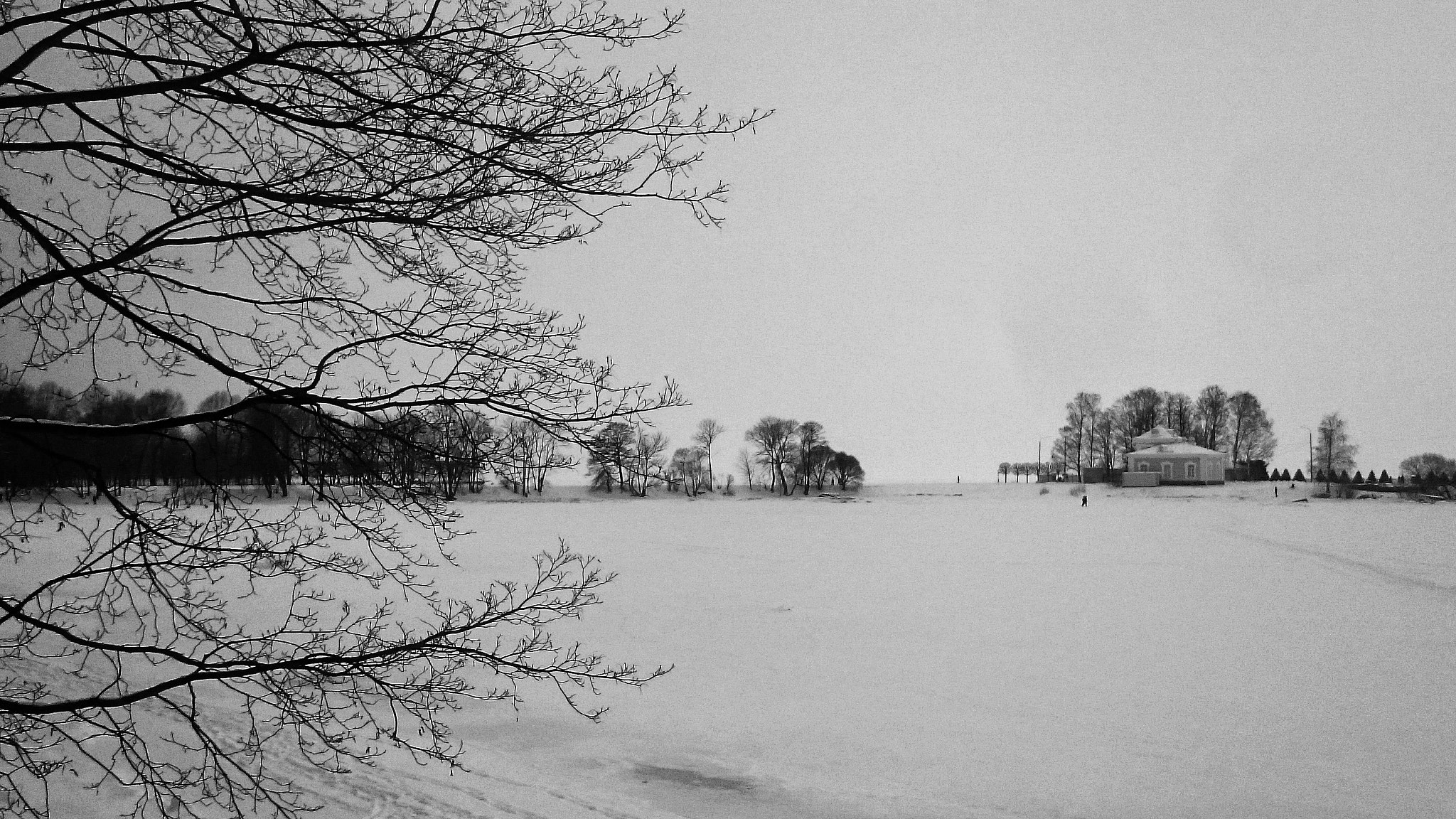 Sony Xperia Z1 Compact sample photo. Snow photography
