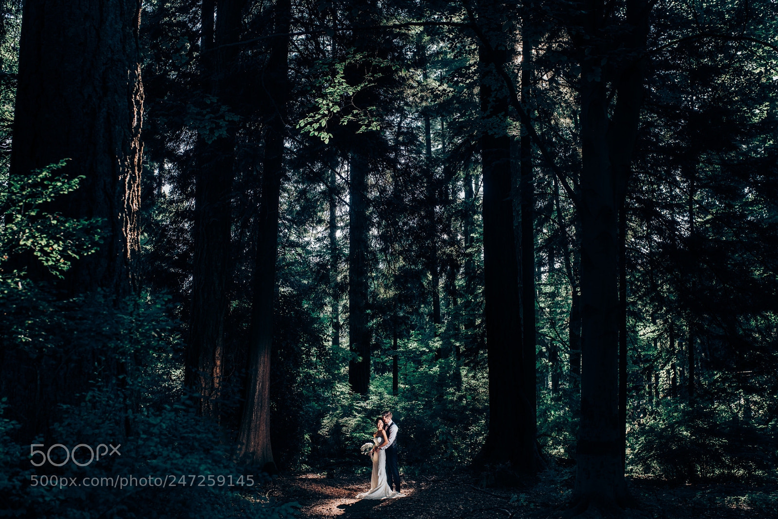 Nikon D810 sample photo. Untitled photography