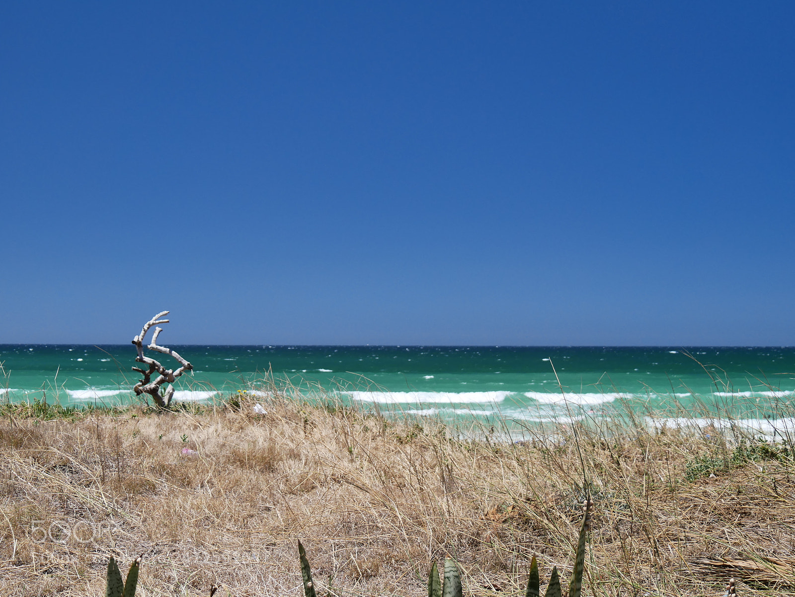 Panasonic Lumix DMC-GX85 (Lumix DMC-GX80 / Lumix DMC-GX7 Mark II) sample photo. Jeffreys bay photography