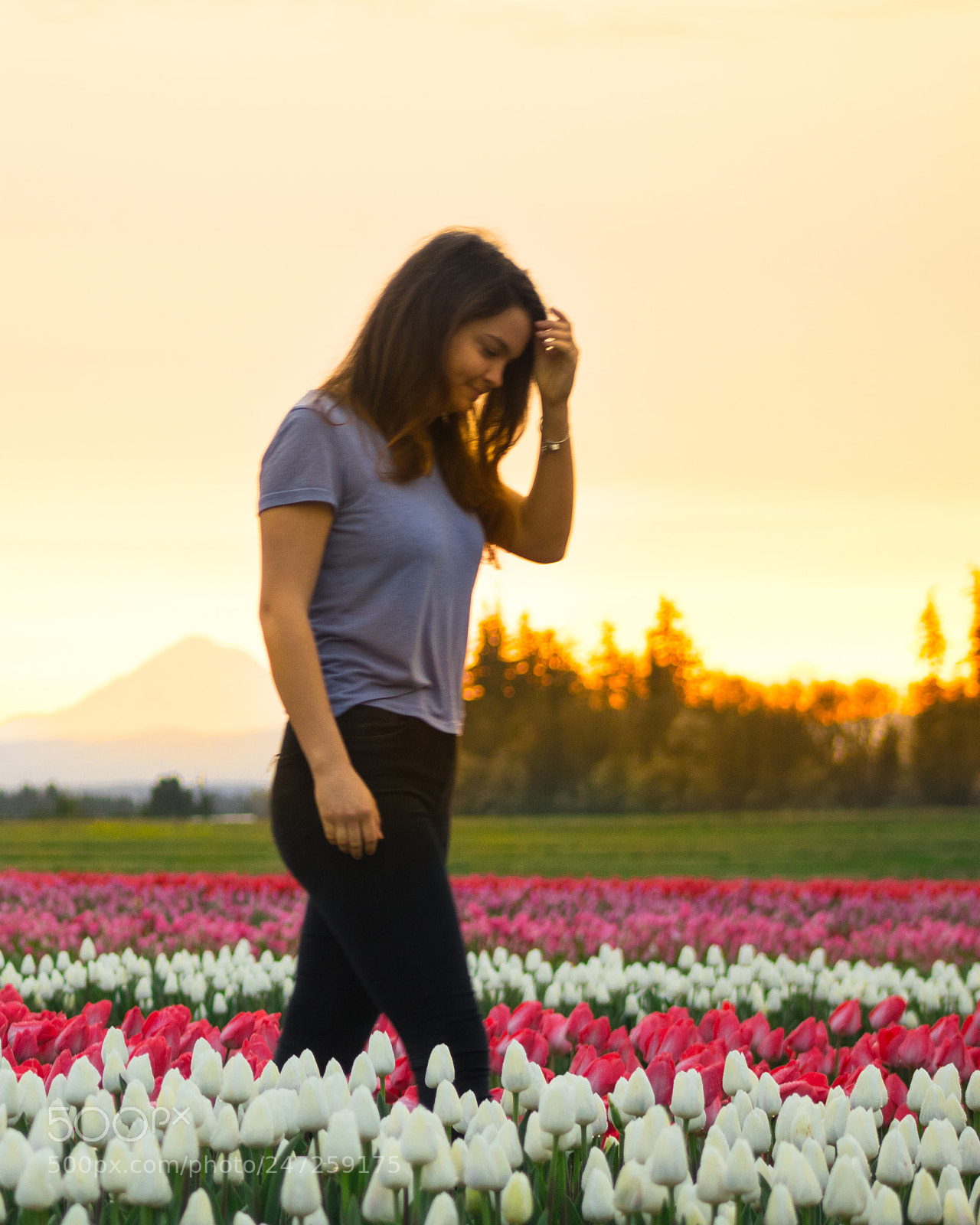 Canon EOS 750D (EOS Rebel T6i / EOS Kiss X8i) sample photo. Tulip festival photography