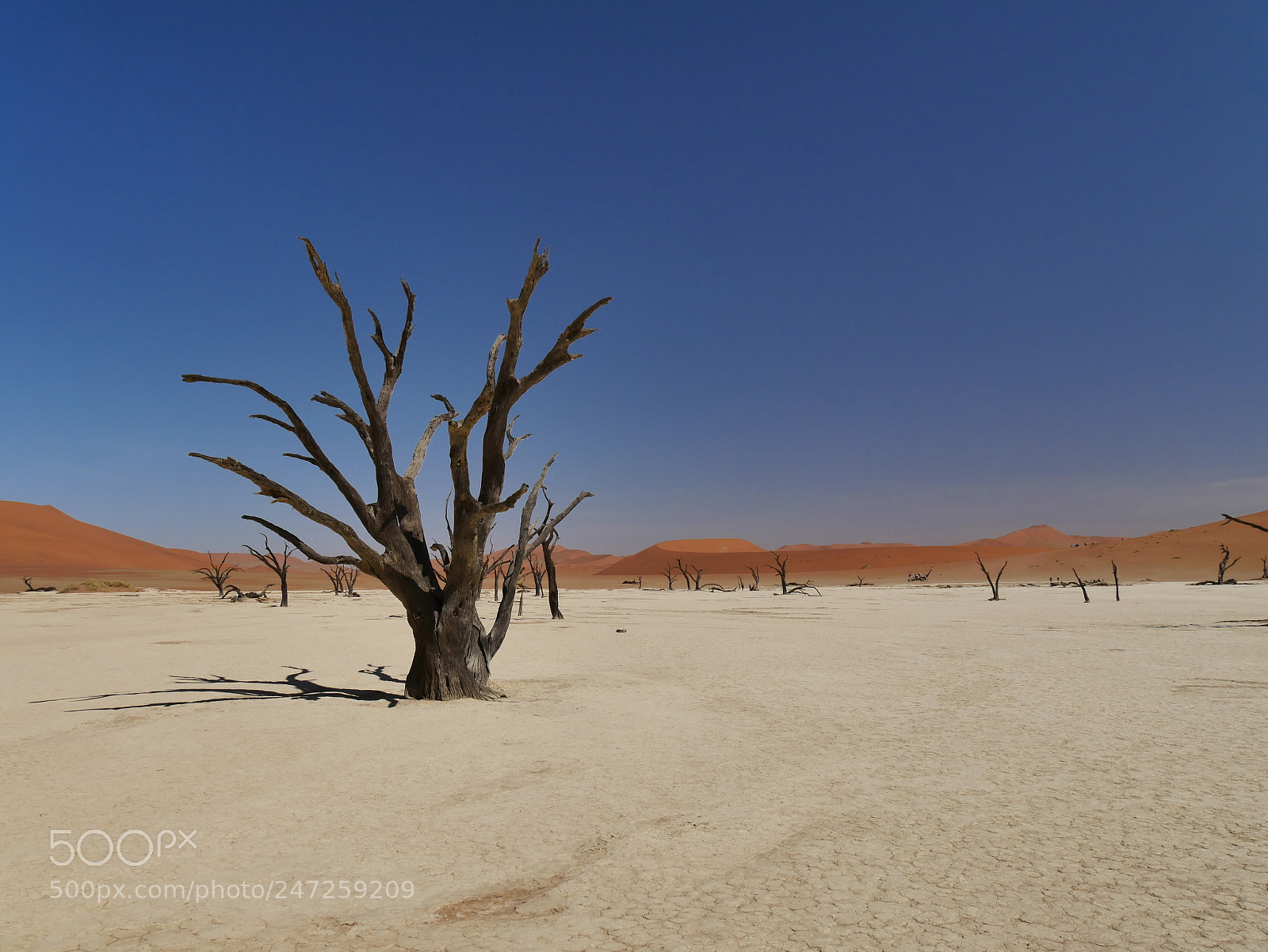 Panasonic Lumix DMC-GX85 (Lumix DMC-GX80 / Lumix DMC-GX7 Mark II) sample photo. Deadvlei photography