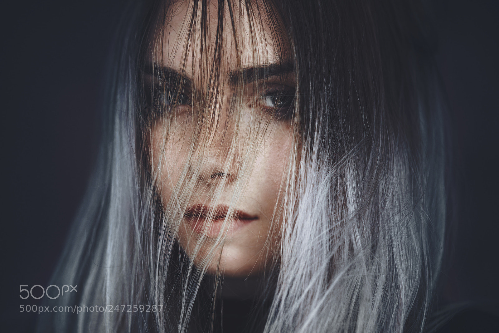 Sony a7R II sample photo. Charline photography