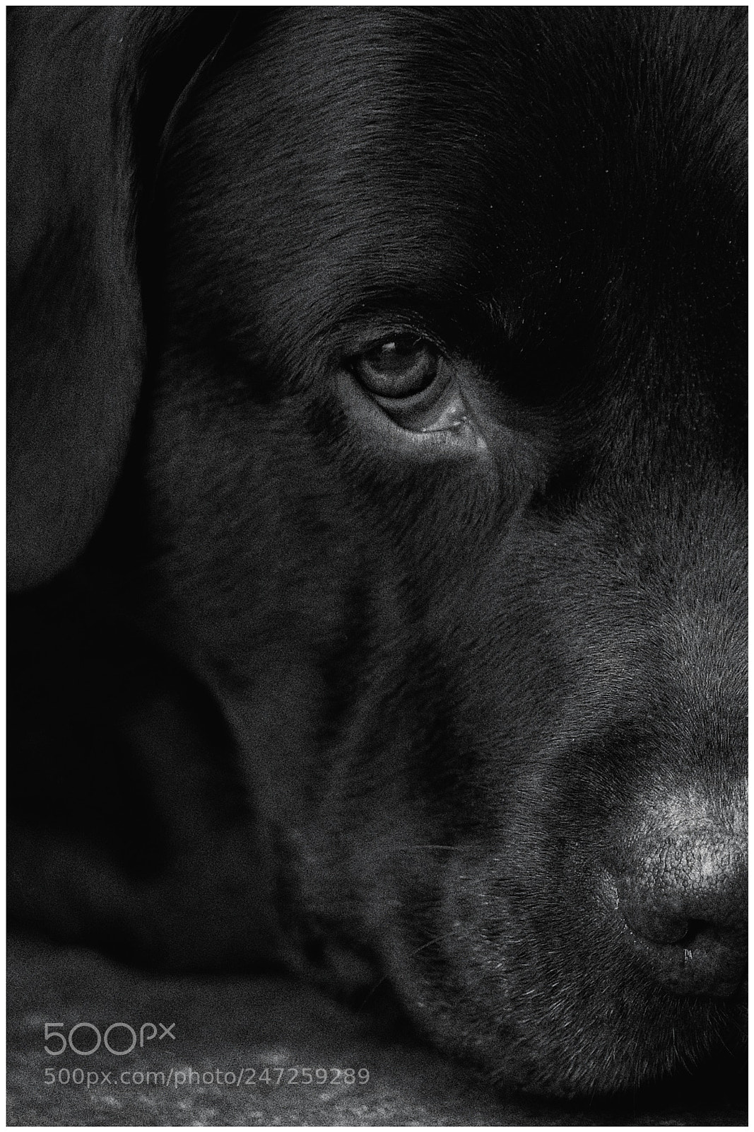 Fujifilm X-T2 sample photo. Untitled photography