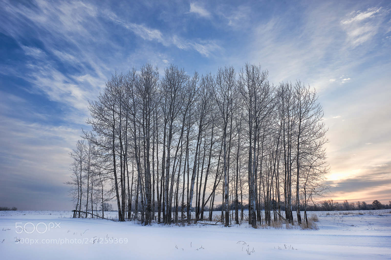 Nikon D810 sample photo. Winter morning at carver photography