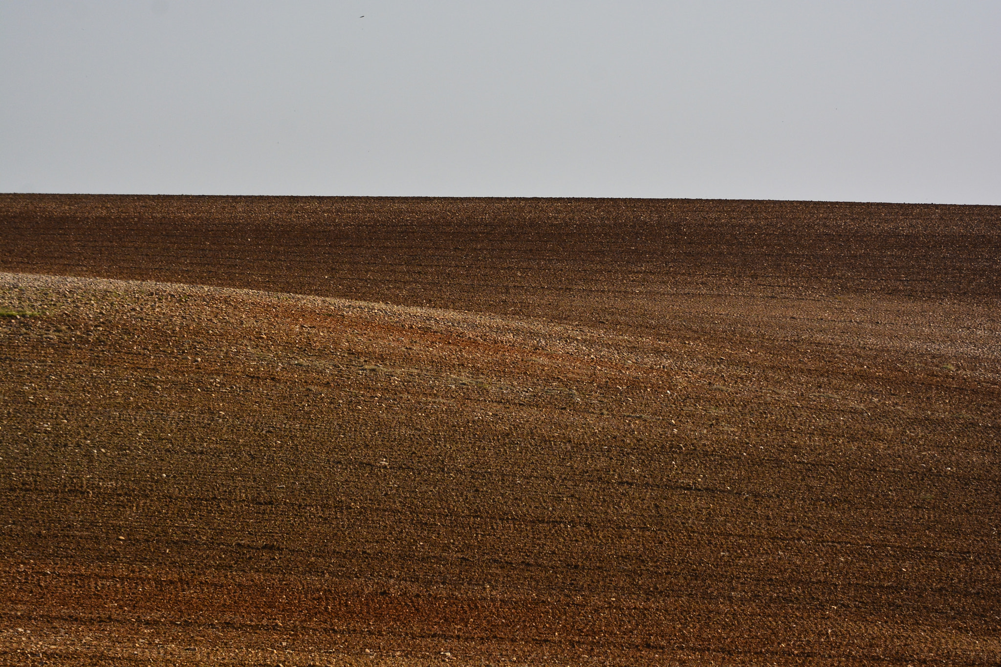 Nikon D7100 sample photo. Aabfbo () photography