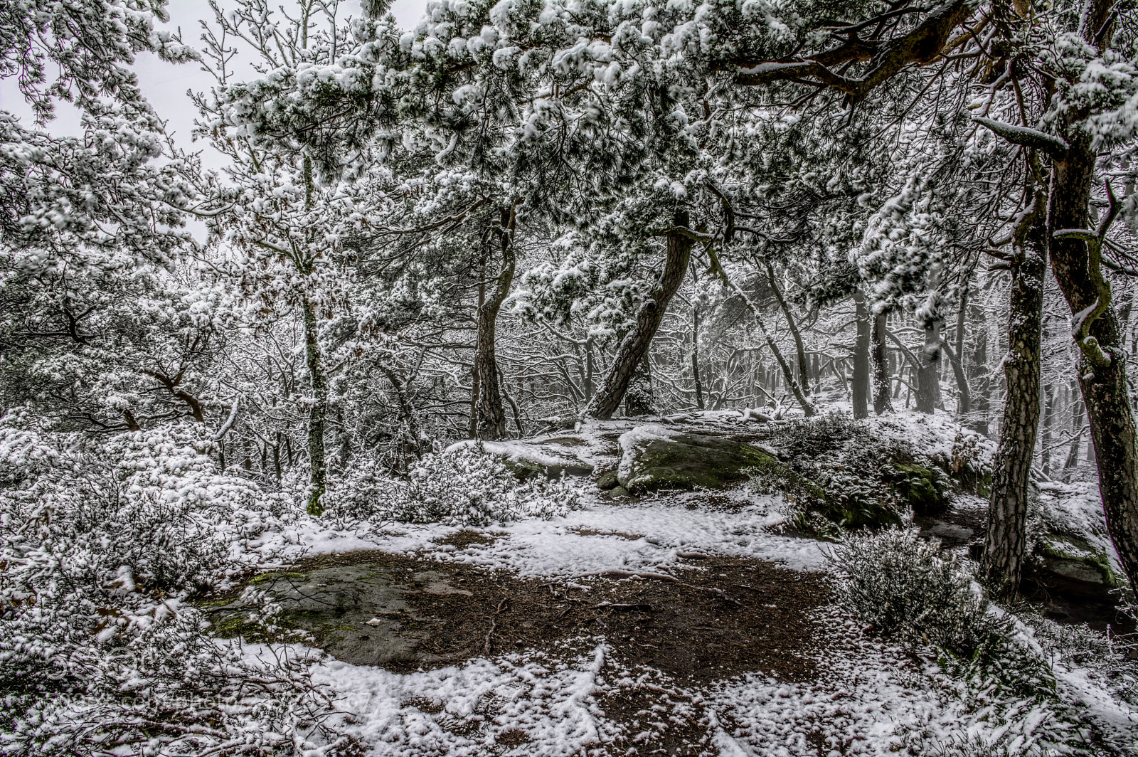 Nikon D7100 sample photo. Palatinate76 photography