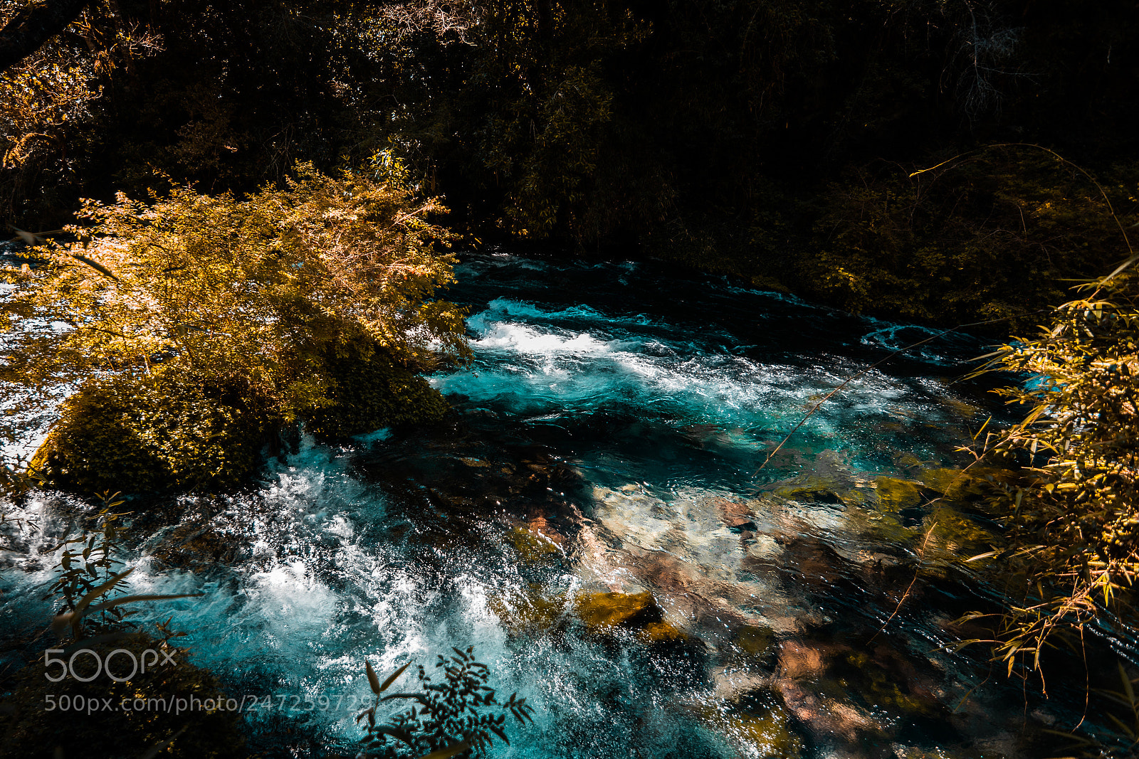 Nikon D3400 sample photo. Clear water out of photography