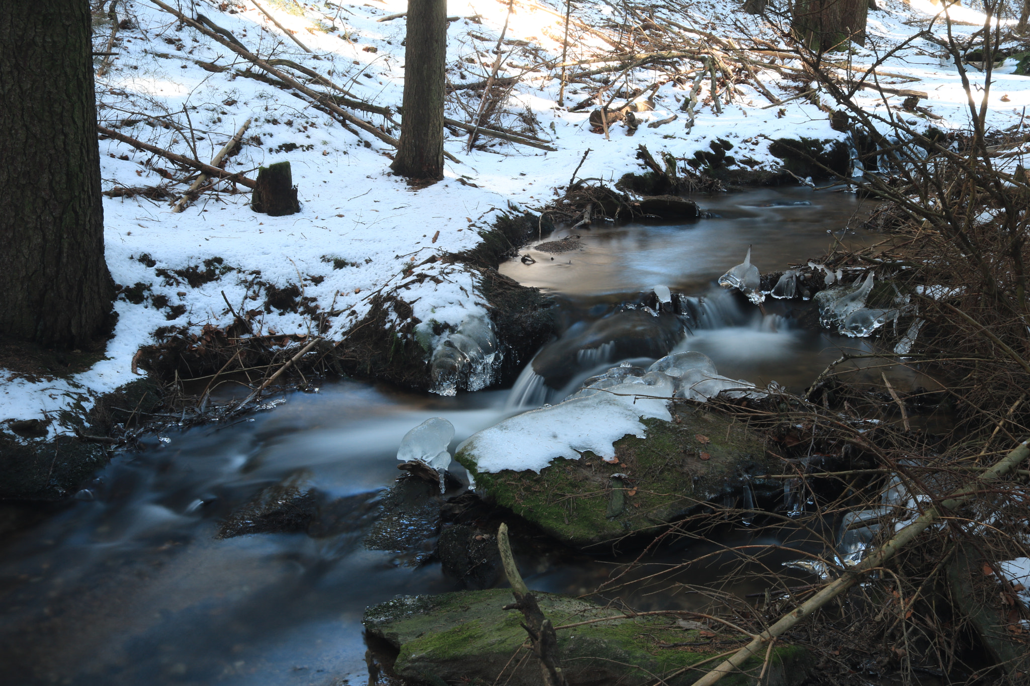 Canon EF-S 24mm F2.8 STM sample photo. Der muglbach photography