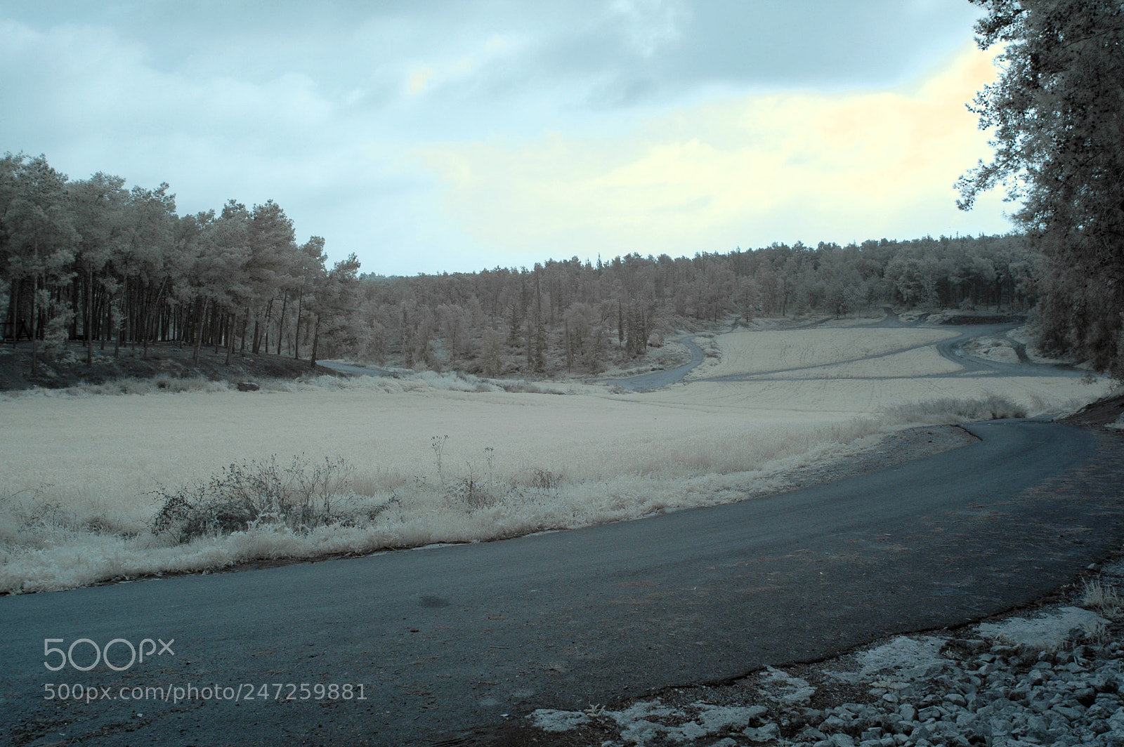 Nikon D70 sample photo. First ir.jpg photography