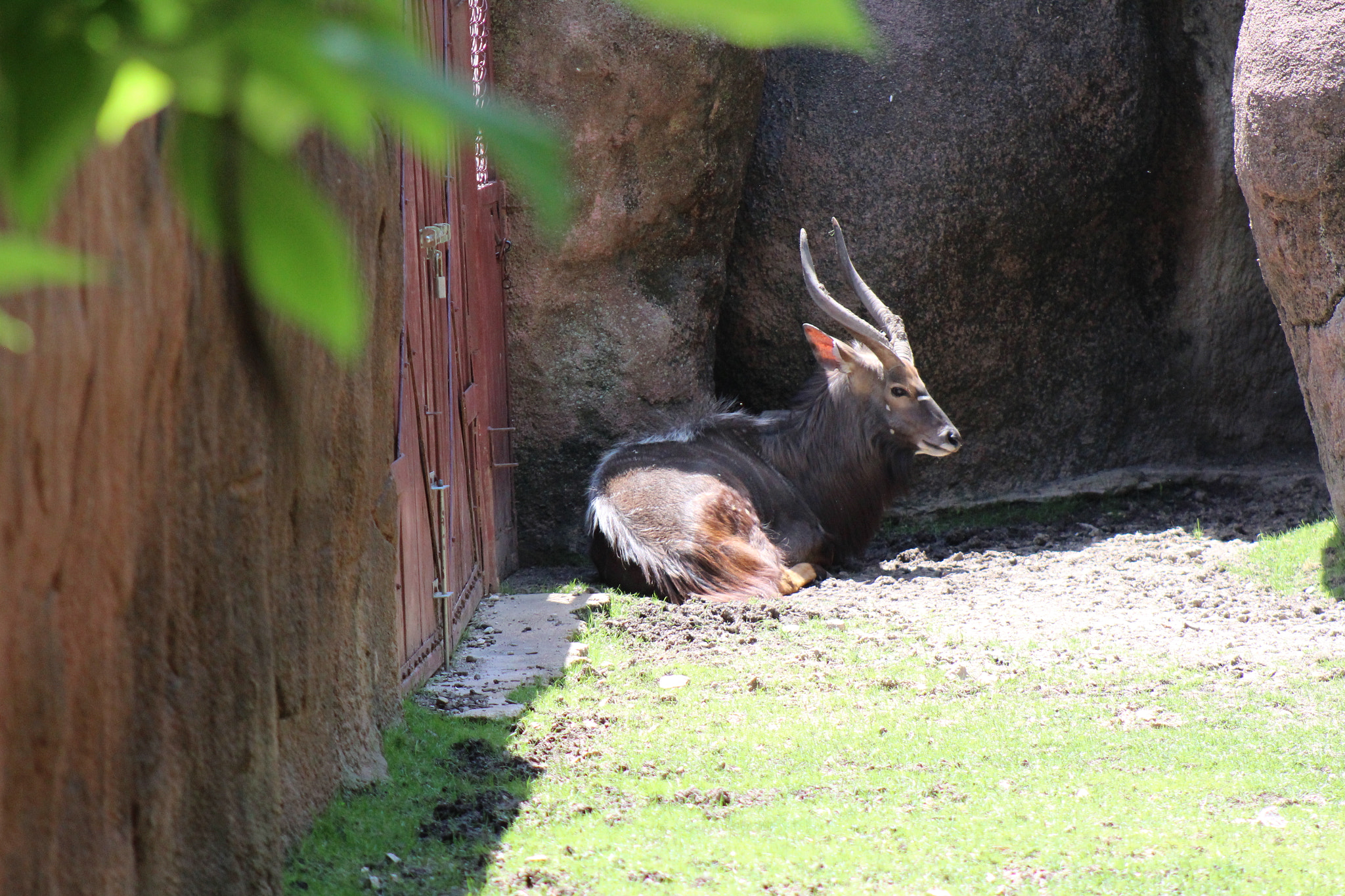 EF75-300mm f/4-5.6 sample photo