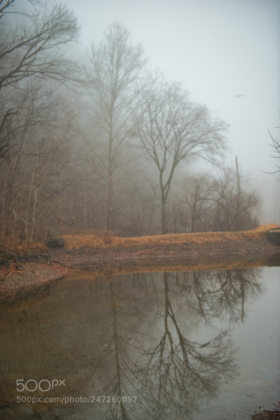 Nikon D800 sample photo. Morning on the canal photography