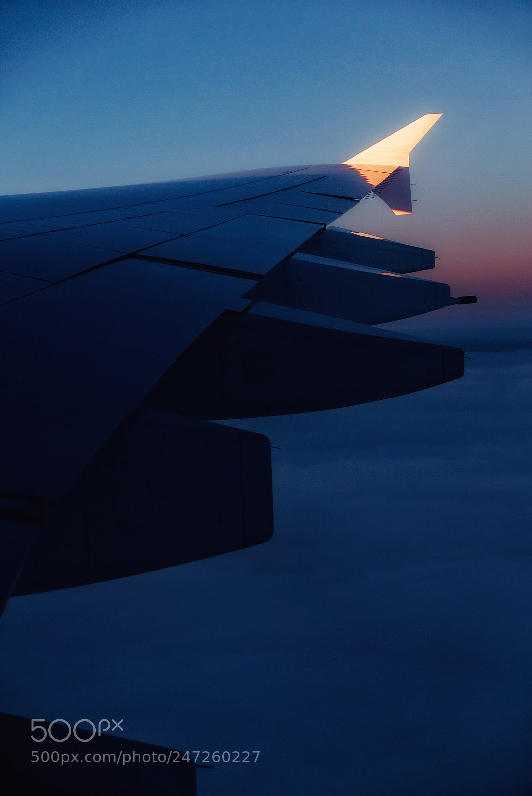Panasonic Lumix DMC-LX100 sample photo. Wing tip of an photography