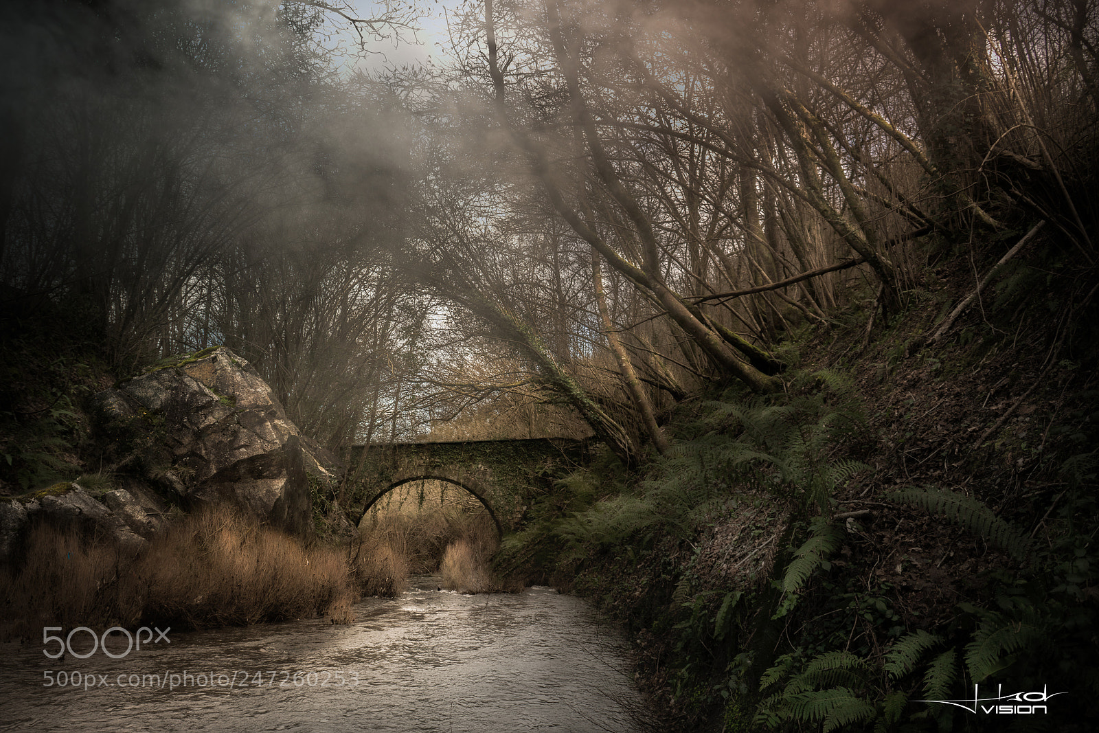 Sony a7R II sample photo. ... flooded memories ... photography