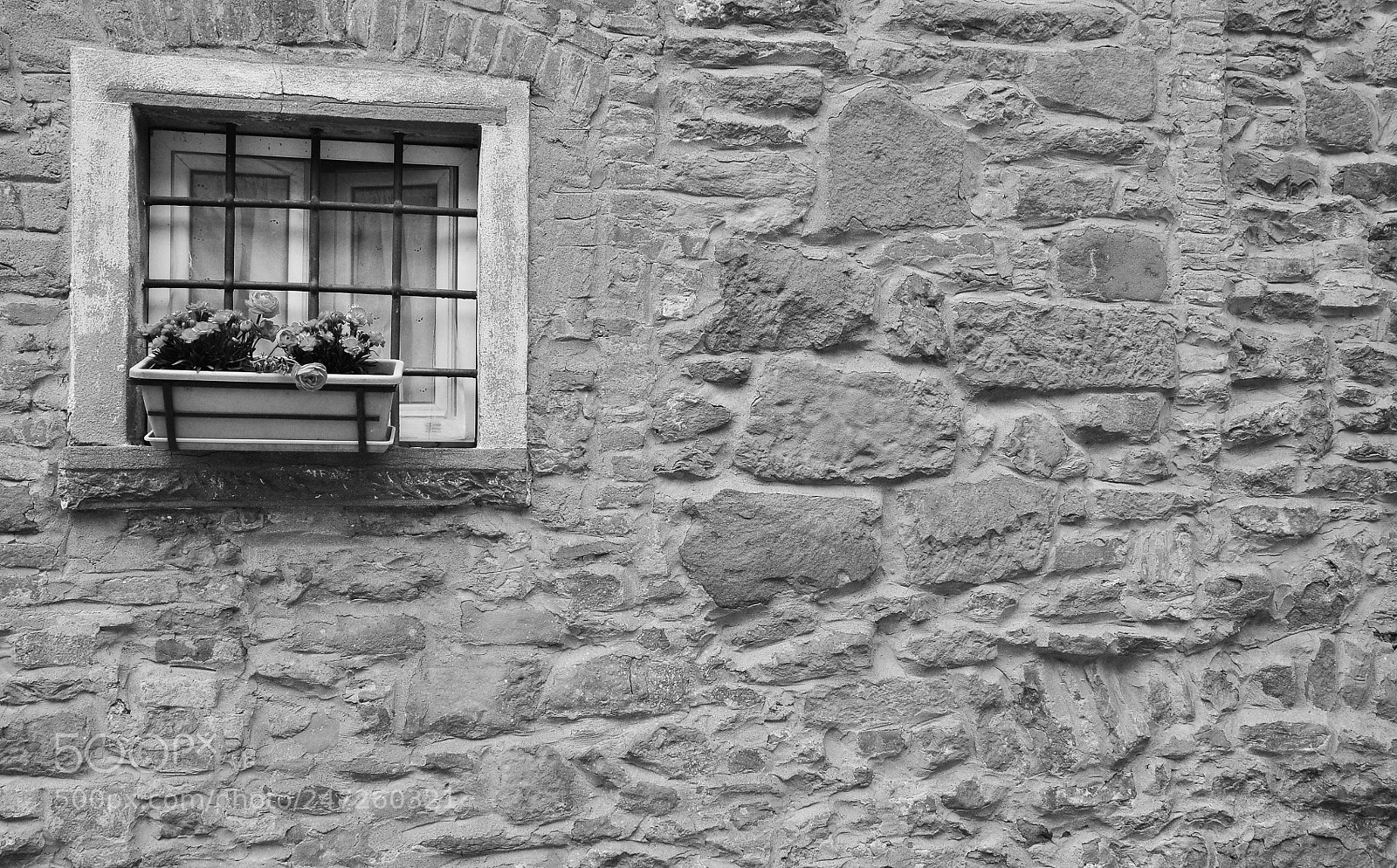 Nikon D90 sample photo. Window photography