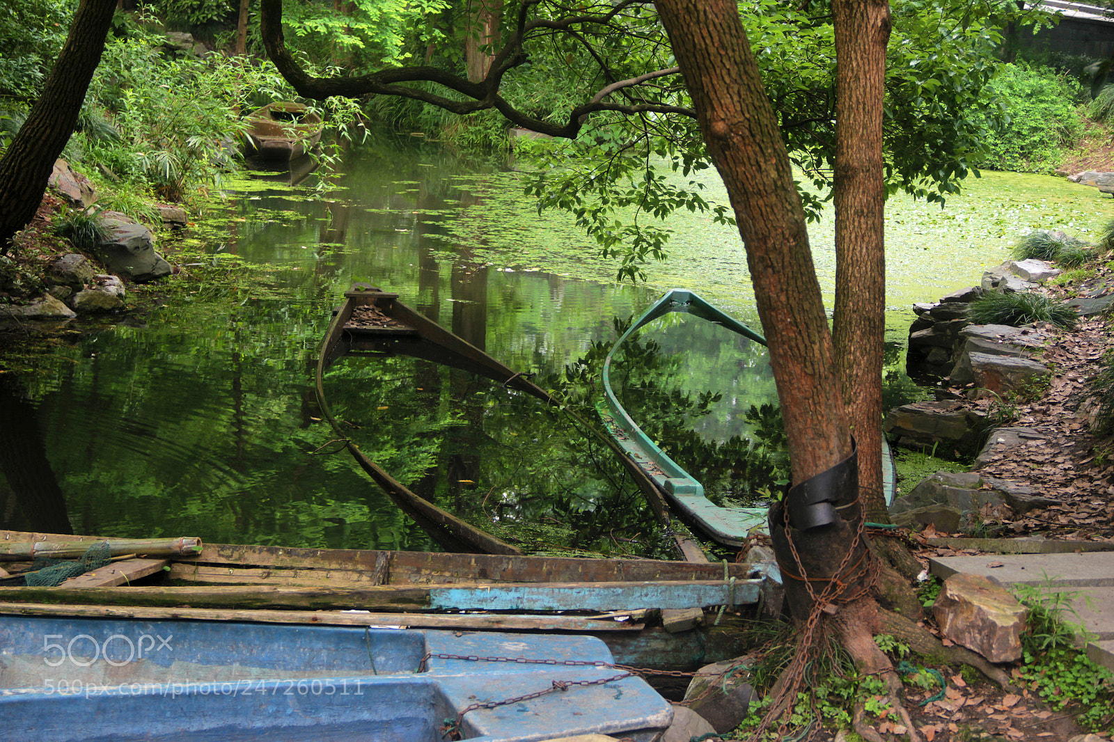 Canon EOS 60D sample photo. Couple photography