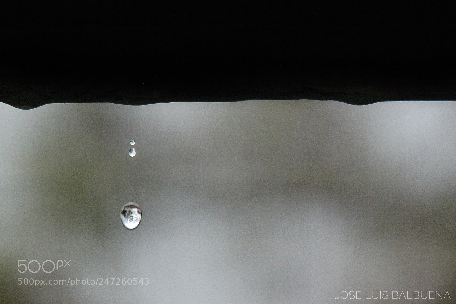 Canon EOS 500D (EOS Rebel T1i / EOS Kiss X3) sample photo. Dropping drops photography
