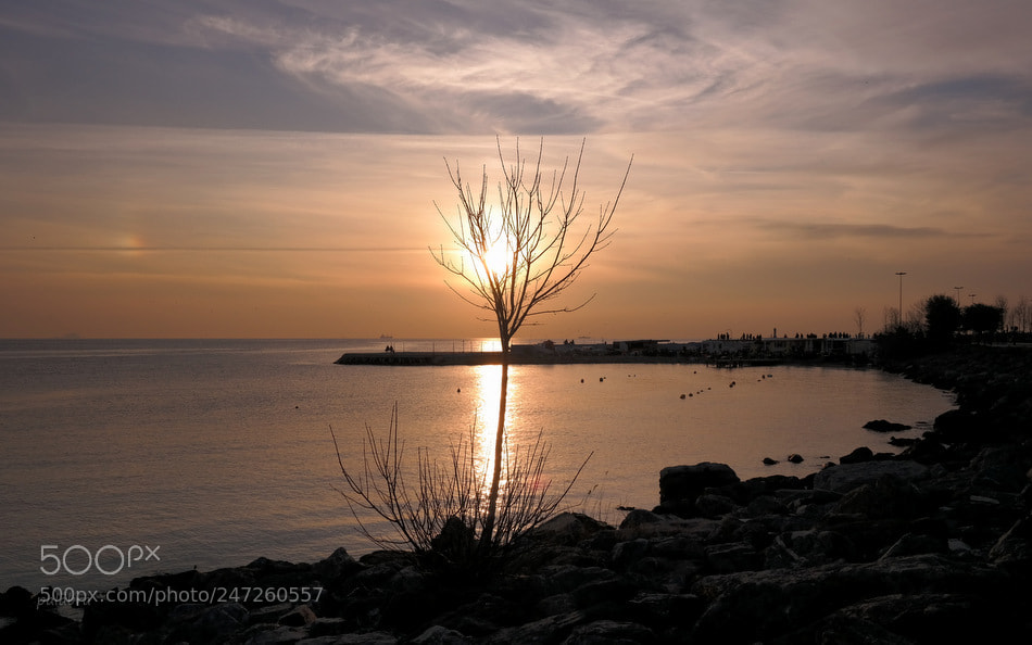 Samsung NX300 sample photo. ... photography