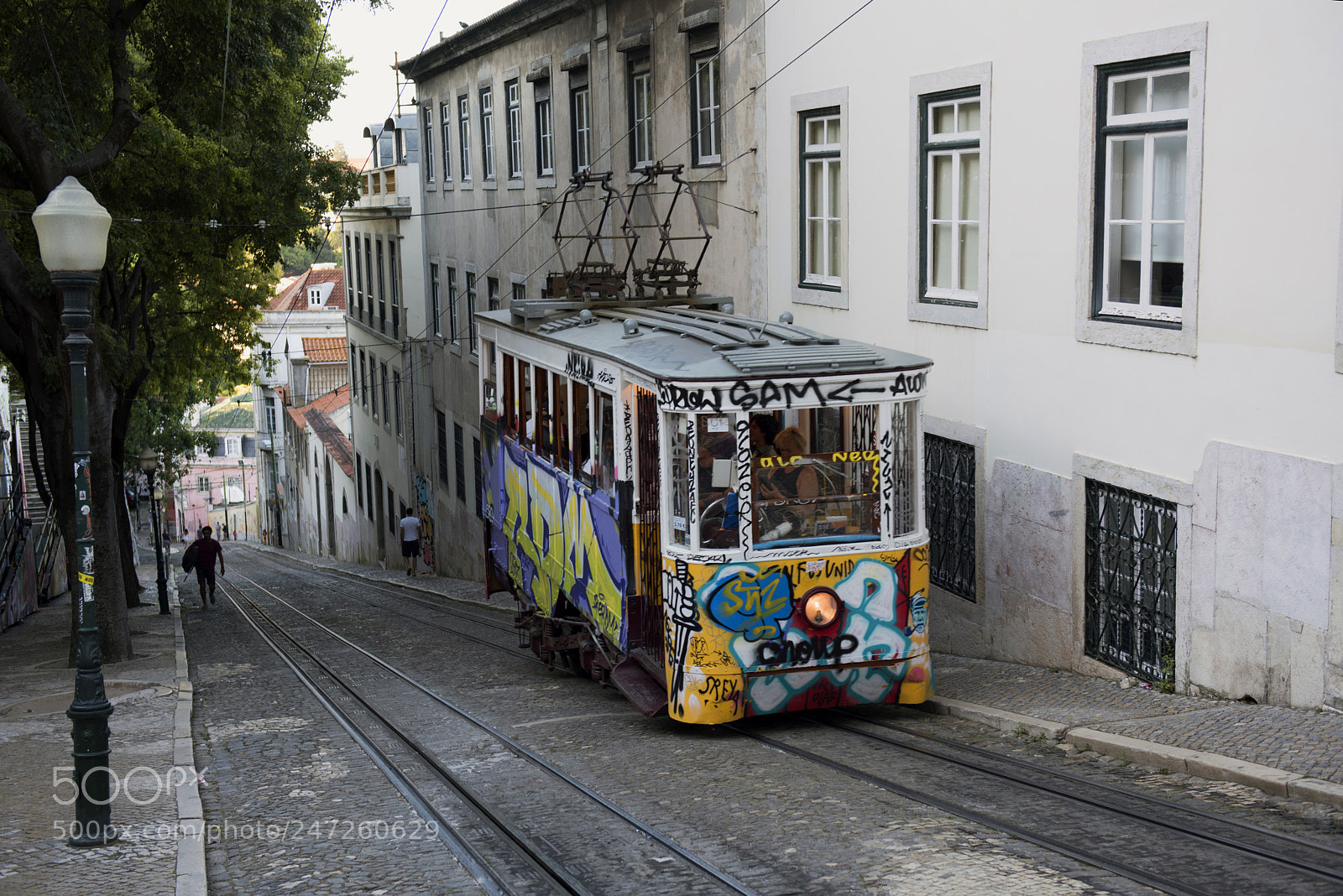 Nikon D810 sample photo. Untitled photography